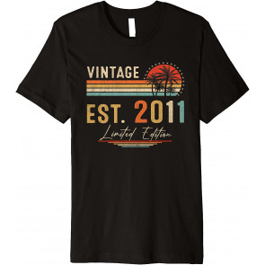 10 Year Old Gifts Vintage 2011 Limited Edition 10th B-day T-Shirt