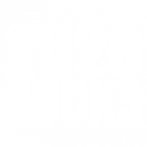 2020 Sucks  Tshirt
