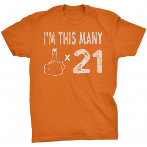 21st Birthday Gift  T-Shirt