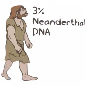 3 Neanderthal Dna  Funny Caveman Tshirt