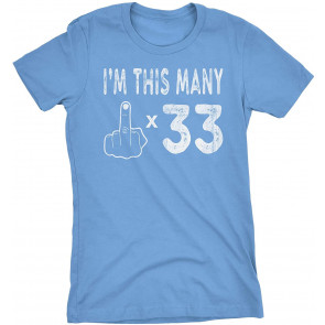 33rd Birthday Gift  T-Shirt