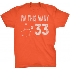 33rd Birthday Gift  T-Shirt