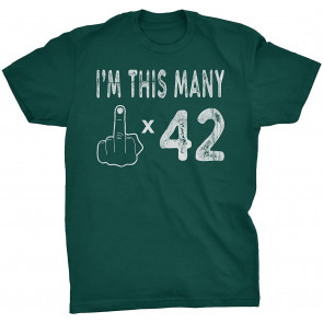 42nd Birthday Gift  T-Shirt