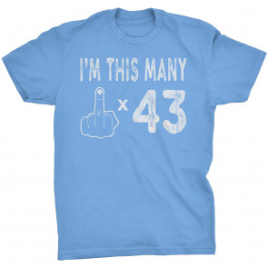 43rd Birthday Gift  T-Shirt