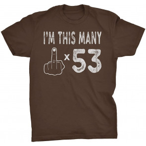 53rd Birthday Gift  T-Shirt