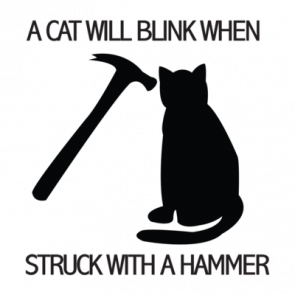 A Cat Will Blink When Struck With A Hammer Tshirt