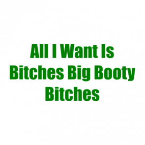 All I Want Is Bitches Big Booty Bitches Shirt