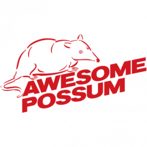 Awesome Possum Tshirt