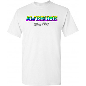 Awesome Since 1966 Colorful Gift Novelty DT T-Shirt
