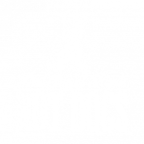 Ban Stupid People Not Dogs Tshirt