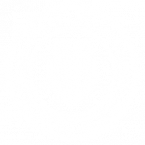 Banzai Institute  For Biomedical Engineering And Strategic Information  The Adventures Of Buckaroo Banzai  80s Tshirt