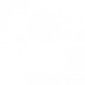 Bern Down For What Bernie Sanders Tshirt