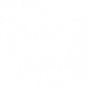 Best Dad Ever Dad Fathers Day Tshirt