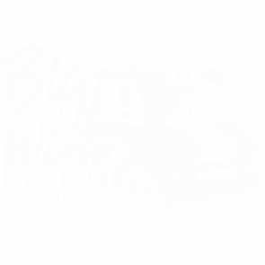 Big Worm Ice Cream  Playing With My Money Is Like Playing With My Emotions Friday Tshirt 90s Tshirt