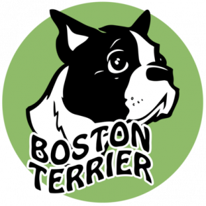 Boston Terrier Tshirt