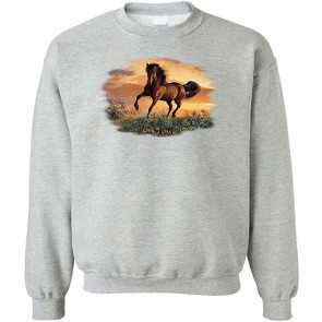 Chasing A Dream - Fleece Sweat T-Shirt