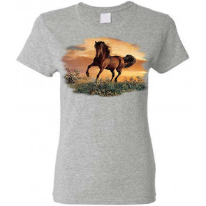 Chasing A Dream - Ladies Cotton T-Shirt
