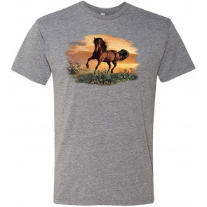 Chasing A Dream - Tri-Blend T-Shirt