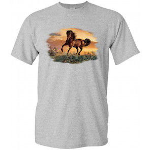 Chasing A Dream - T-Shirt