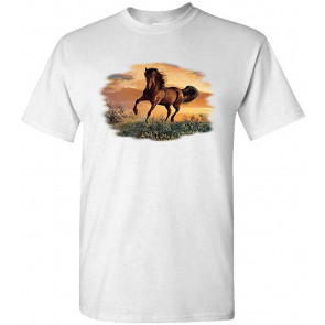 Chasing A Dream - T-Shirt