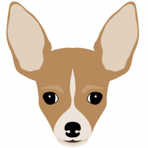 Chihuahua Head  Chihuahua Tshirt
