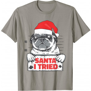 Christmas Pajamas For Family Santa I Tried Pug Dog Santa Hat T-Shirt