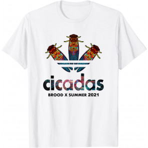 Cicada Summer Brood X Magicicada 2021 USA T-Shirt