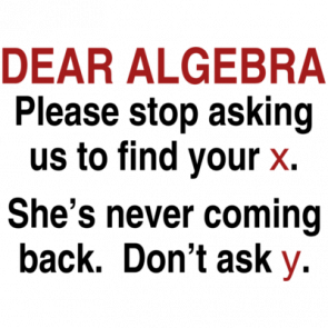 Dear Algebra  Shirt