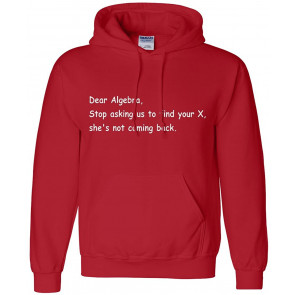 Dear Algebra Please Stop Asking Us To Find Your X T-Shirt