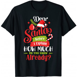 Dear Santa Before I Explain How Much Do You Know Already T-Shirt