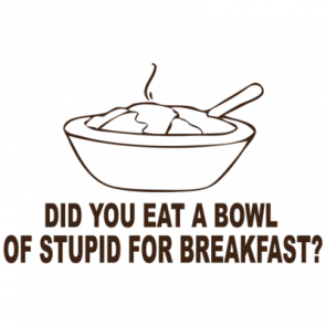 Did You Eat A Bowl Of Stupid For Breakfast Funny Tshirt