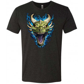 Dragon Head - Tri-Blend T-Shirt