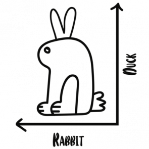 Duck Rabbit Graph  Which One Do You See Funny Tshirt