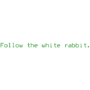 Follow The White Rabbit The Matrix  90s Tshirt