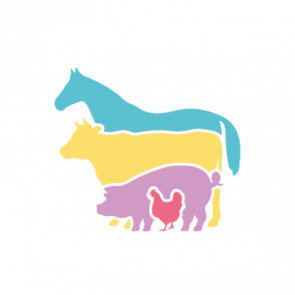 Friends Not Food  Vegetarian Tshirt