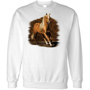 Golden BOY - American Horse Equine Lover - Fleece Sweat T-Shirt