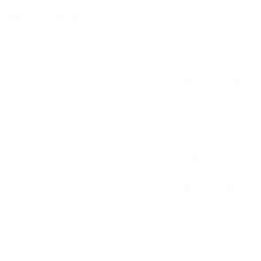 Got Bullets Gun Tshirt