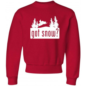 Got Snow T-Shirt