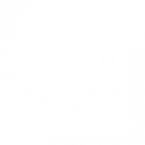Hakuna Matata  The Lion King  90s Tshirt