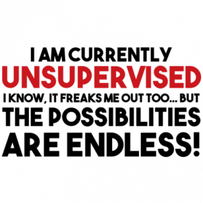 I Am Currently Unsupervised I Know It Freaks Me Out Too But The Possibilities Are Endless Shirt
