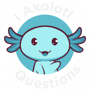 I Axolotl Questions  Funny Cute Pun Tshirt