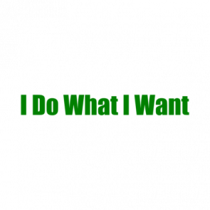 I Do What I Want Tshirt