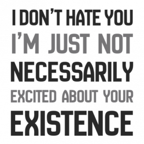 I Dont Hate You Im Just Not Necessarily Excited About Your Existence  Sarcastic Tshirt