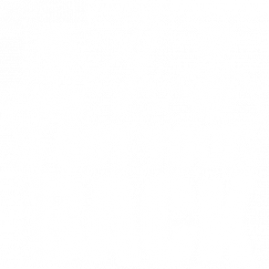 I Got Your Back  Funny Halloween Pun Tshirt