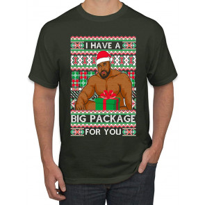 I Have A Big Package Meme Barry Wood Ugly Christmas  T-Shirt