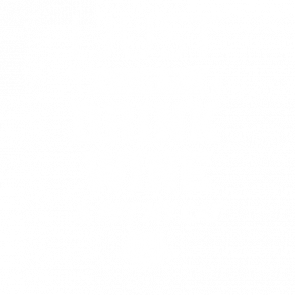 I Just Want To Drink Wine And Pet My Cat Tshirt