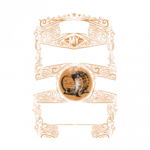 I Like My Whiskey Old And My Women Young Tshirt