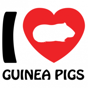 I Love Guinea Pigs  Guinea Pig Tshirt
