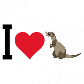 I Love Heart Ferrets  Ferret Tshirt