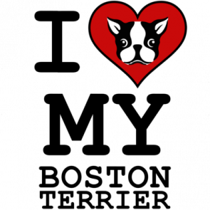 I Love My Boston Terrier  Boston Terrier Tshirt